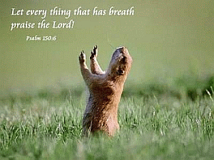 Let every thing that has breath praise the Lord T-Shirt Design